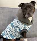 Sophisticated Pet - Hoodies - Arctic Circle