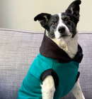Sophisticated Pet - Hoodies - Plain Jay