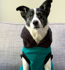 Sophisticated Pet - Hoodies - Plain Jay