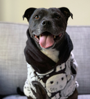 Sophisticated Pet - Hoodies - Harry Potter - X Large