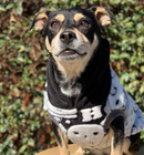 Sophisticated Pet - Hoodies - Harry Potter - X Large