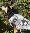 Sophisticated Pet - Hoodies - Harry Potter - X Large