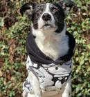 Sophisticated Pet - Hoodies - Harry Potter - X Large