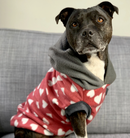 Sophisticated Pet - Hoodies - Love Bug