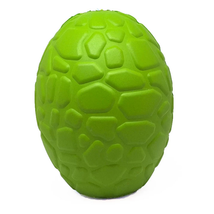 Rover Pet Products - Dinosaur Egg