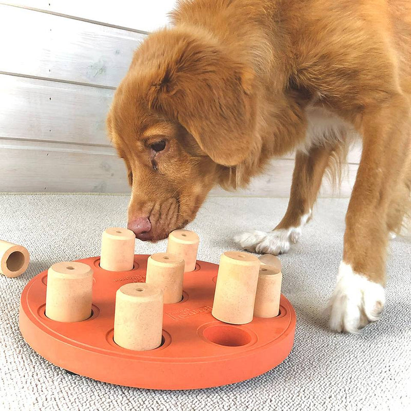 Nina Ottosson - Dog Smart - Composite