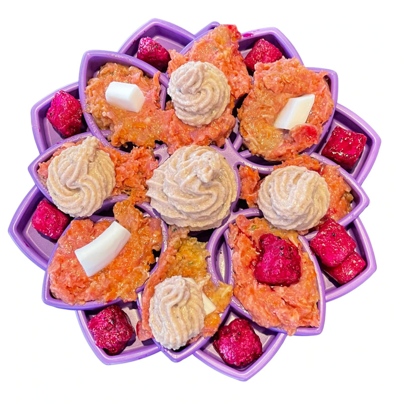 Rover Pet Products - Mandala eTray - Enrichment Tray for Dogs