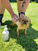 Houndztooth - Stella's Blend No. 2 Shampoo