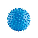 Aussie Dog - Mitch Ball Blue