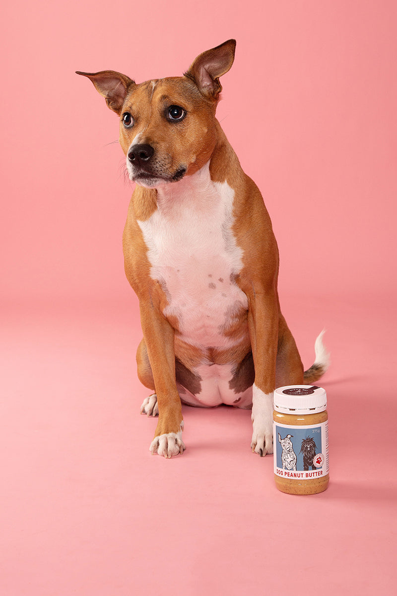Byron Bay Peanut Butter Company - Dog Peanut Butter