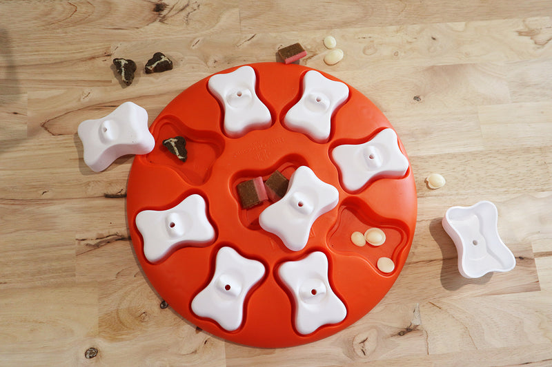 Nina Ottosson - Dog Treat Puzzle - Level 1