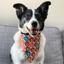 Sophisticated Pet - Bandana - Pizza My Heart
