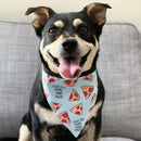 Sophisticated Pet - Bandana - Pizza My Heart